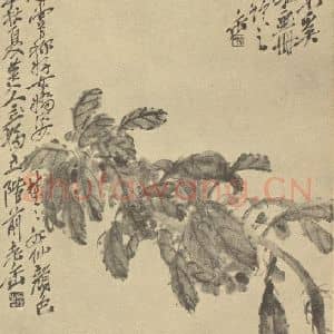 清代 吴昌硕国画作品《菊花》摘自 南画大成 续集三