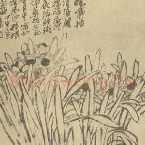 清代 吴昌硕国画作品《蕙花》摘自 南画大成 续集三