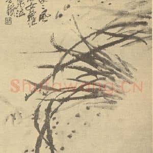 清代 吴昌硕国画作品《水仙》摘自 南画大成 续集三