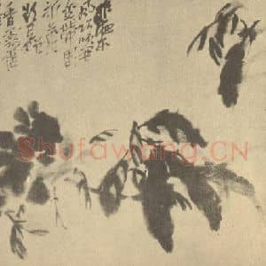 清代 吴昌硕国画作品《芍药》摘自 南画大成 续集三