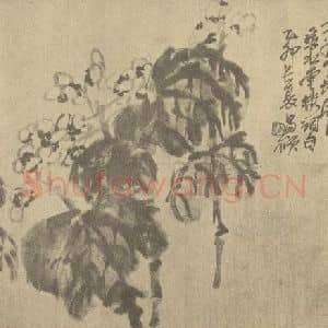 清代 吴昌硕国画作品《秋海棠》摘自 南画大成 续集三