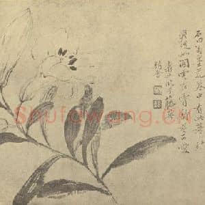 清代 恽寿平国画作品《百合》摘自 南画大成 续集三