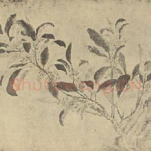 清代 恽寿平国画作品《桂花》摘自 南画大成 续集三