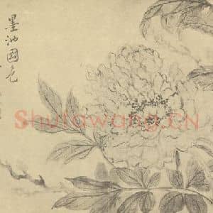 清代 恽寿平国画作品《墨池国色》摘自 南画大成 续集三