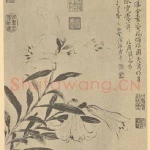 清代 恽寿平国画作品《百合》摘自 南画大成 续集三