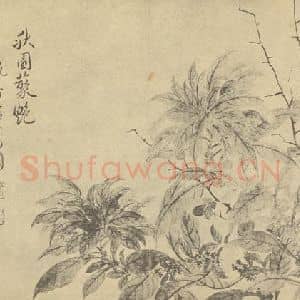 清代 恽寿平国画作品《秋园聚艳》摘自 南画大成 续集三