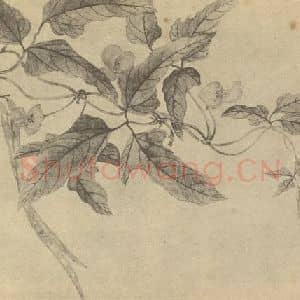 清代 恽寿平国画作品《豆花》摘自 南画大成 续集三