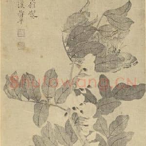 清代 恽寿平国画作品《桃花》摘自 南画大成 续集三