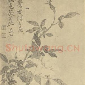 清代 恽寿平国画作品《芍药》摘自 南画大成 续集三
