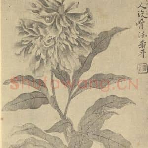 清代 恽寿平国画作品《蔷薇》摘自 南画大成 续集三