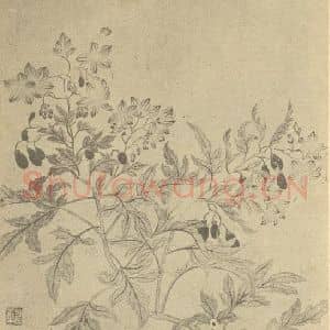 清代 恽寿平国画作品《荷花图》摘自 南画大成 续集三