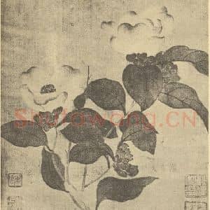 清代 恽寿平国画作品《花卉》摘自 南画大成 续集三