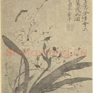 清代 恽寿平国画作品《菊花》摘自 南画大成 续集三