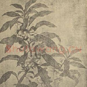 清代 恽寿平国画作品《玉簪花·野菊》摘自 南画大成 续集三