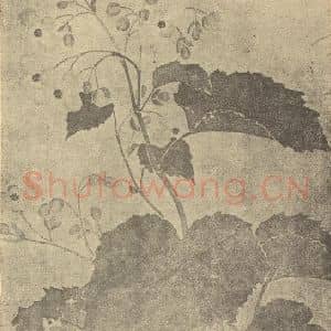 清代 恽寿平国画作品《桂花》摘自 南画大成 续集三