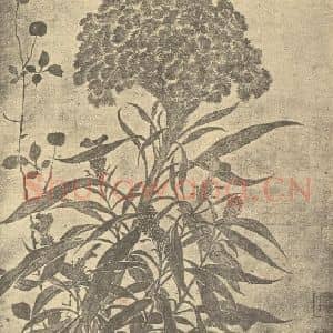 清代 恽寿平国画作品《岁寒雅友》摘自 南画大成 续集三