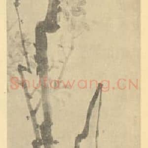 清代 赵之谦国画作品《奇树图》摘自 南画大成 续集三