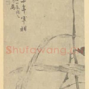 清代 赵之谦国画作品《芋花图》摘自 南画大成 续集三