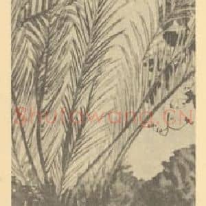 清代 赵之谦国画作品《铁树·杜鹃花》摘自 南画大成 续集三