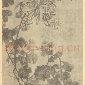 清代 赵之谦国画作品《菊花图》摘自 南画大成 续集三