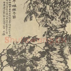 清代 赵之谦国画作品《枇杷·桂树图》摘自 南画大成 续集三