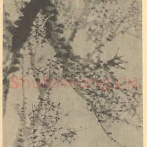 清代 赵之谦国画作品《梅花》摘自 南画大成 续集三