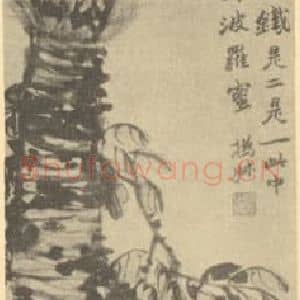 清代 赵之谦国画作品《苏铁图》摘自 南画大成 续集三