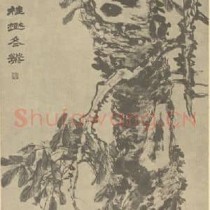 清代 赵之谦国画作品《桂树冬荣图》摘自 南画大成 续集三