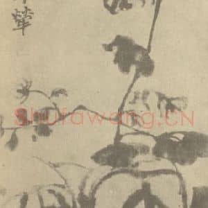 清代 赵之谦国画作品《秋花秋实图》摘自 南画大成 续集三
