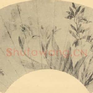 清代 恽寿平国画作品《游蝶花》摘自 南画大成 续集三