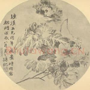 清代 赵之谦国画作品《月季·虞美人》摘自 南画大成 续集三