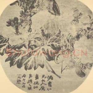 清代 赵之谦国画作品《月季·虞美人》摘自 南画大成 续集三