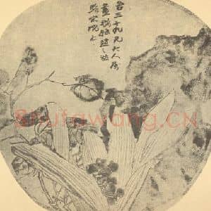 清代 赵之谦国画作品《万年青图》摘自 南画大成 续集三