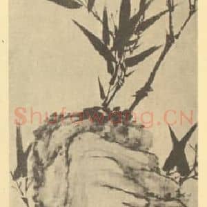 清代 顾沄国画作品《竹石》摘自 南画大成 卷二