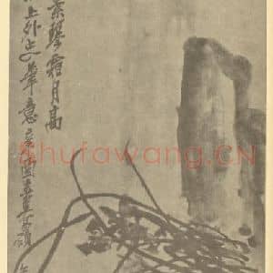 清代 吴昌硕国画作品《兰石》摘自 南画大成 卷二