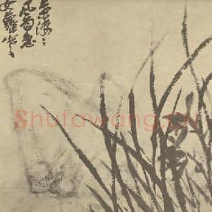 清代 吴昌硕国画作品《兰石》摘自 南画大成 卷二