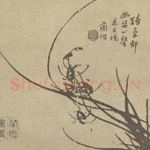 清代 汤燮国画作品《兰》摘自 南画大成 卷二