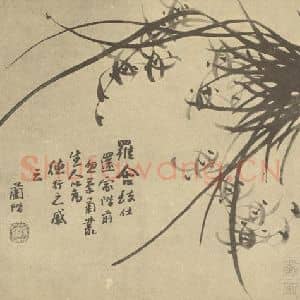 清代 汤燮国画作品《兰》摘自 南画大成 卷二