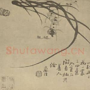 清代 汤燮国画作品《兰》摘自 南画大成 卷二