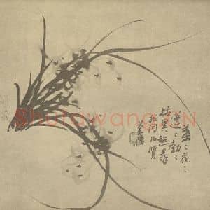 清代 汤燮国画作品《兰》摘自 南画大成 卷二