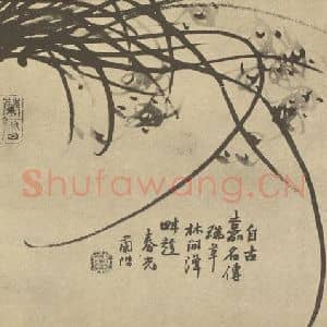 清代 汤燮国画作品《兰》摘自 南画大成 卷二