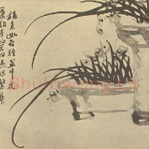 清代 汤燮国画作品《兰》摘自 南画大成 卷二