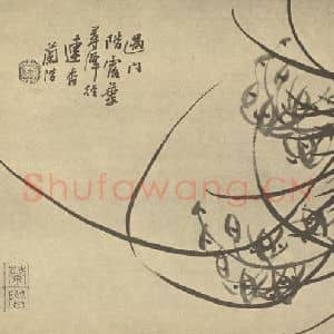 清代 汤燮国画作品《兰》摘自 南画大成 卷二