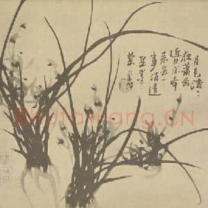 清代 汤燮国画作品《兰》摘自 南画大成 卷二