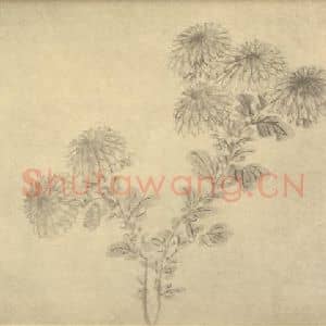 明代 陈淳国画作品《菊》摘自 南画大成 卷二