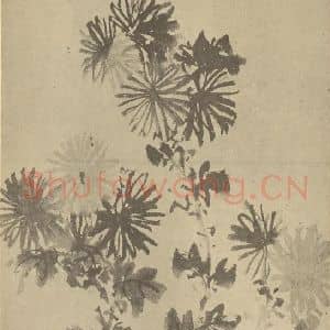 明代 陈淳国画作品《菊》摘自 南画大成 卷二