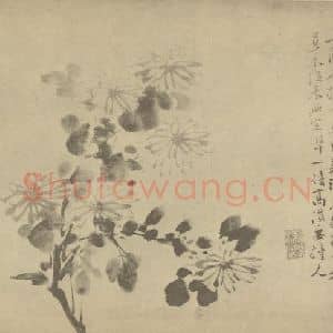 明代 徐渭国画作品《菊》摘自 南画大成 卷二
