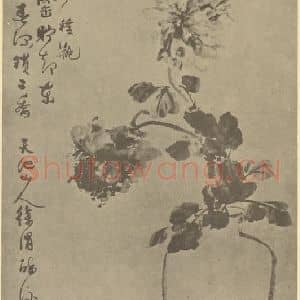 明代 徐渭国画作品《瓶菊》摘自 南画大成 卷二