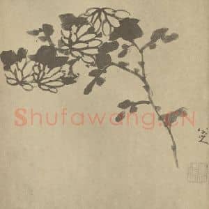 清代 朱耷国画作品《菊》摘自 南画大成 卷二
