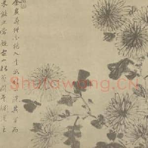 清代 王武国画作品《菊》摘自 南画大成 卷二
